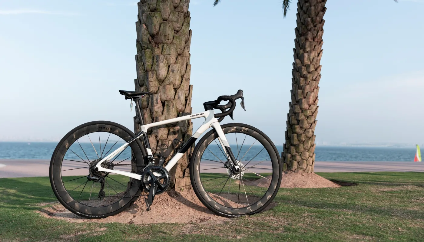 F-RAPID Rim Profile